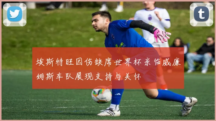 埃斯特旺因伤缺席世界杯亲临威廉姆斯车队展现支持与关怀